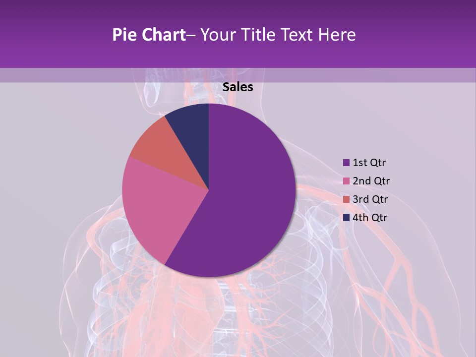 Anatomy Health Xray PowerPoint Template