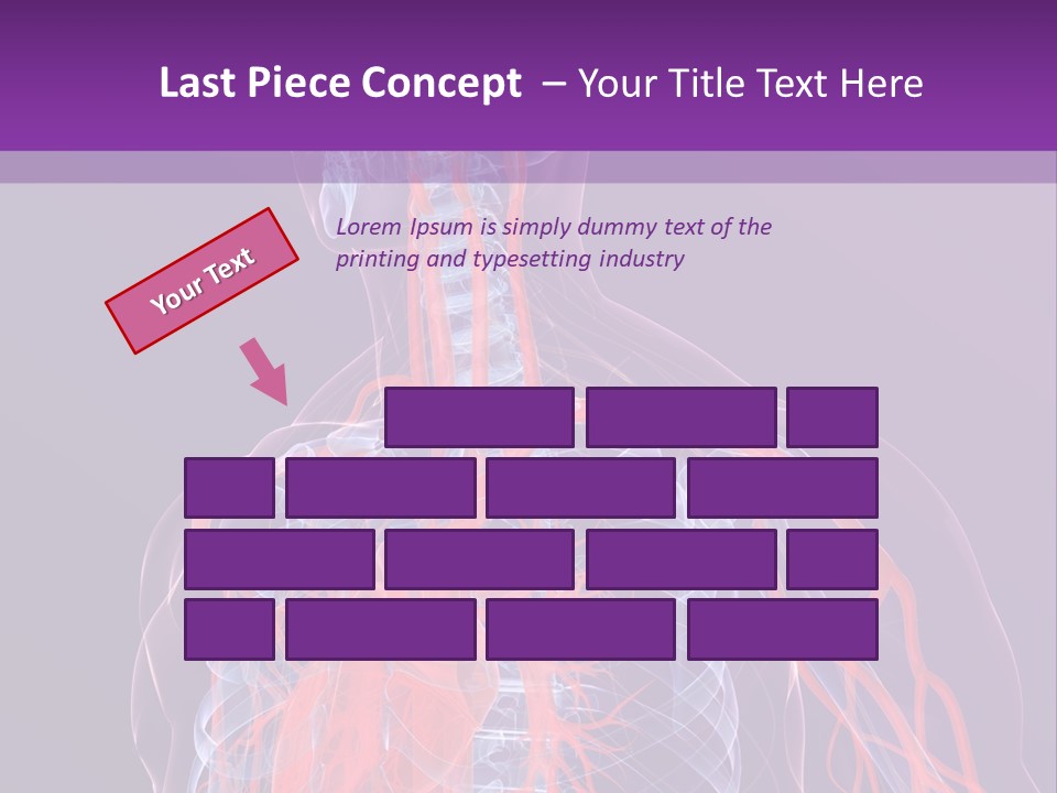 Anatomy Health Xray PowerPoint Template