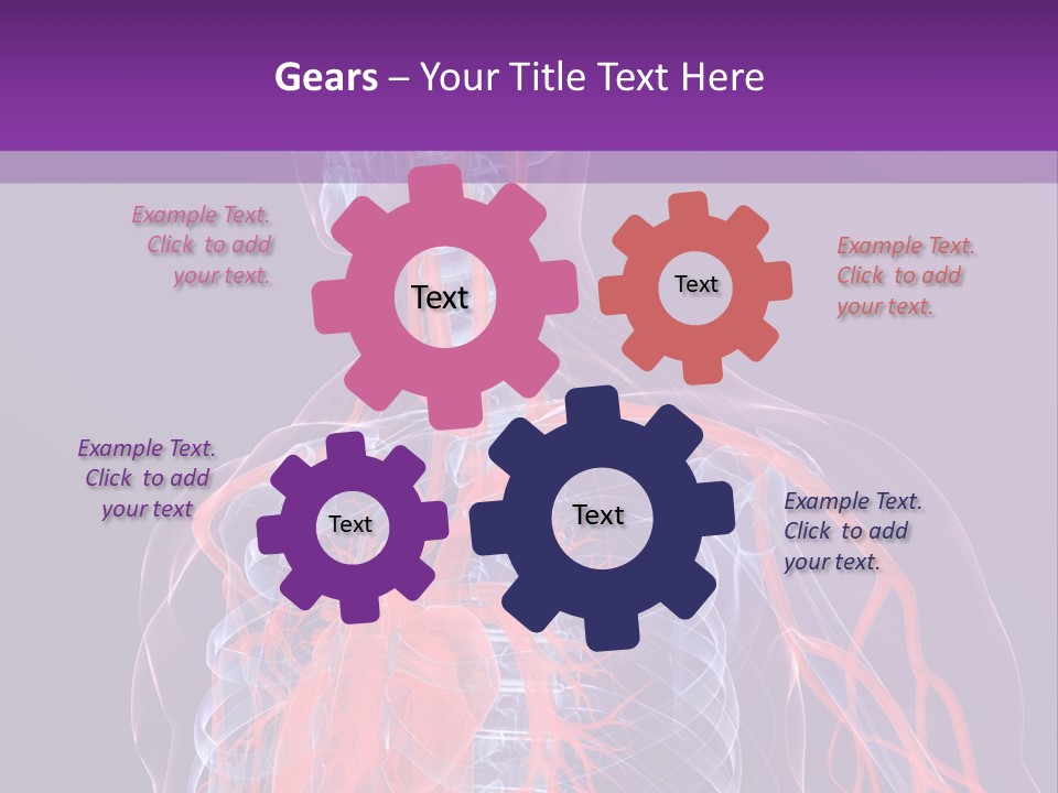 Anatomy Health Xray PowerPoint Template