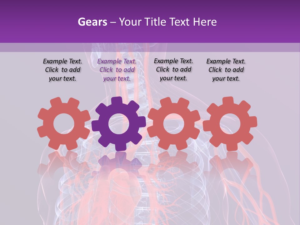 Anatomy Health Xray PowerPoint Template