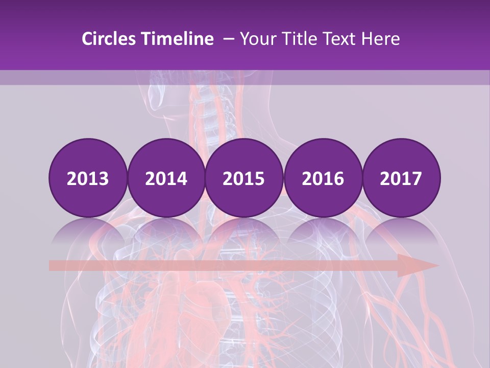 Anatomy Health Xray PowerPoint Template