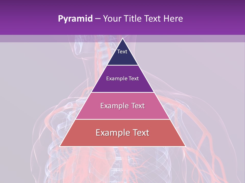 Anatomy Health Xray PowerPoint Template