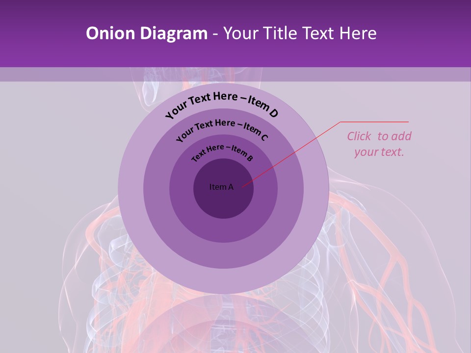 Anatomy Health Xray PowerPoint Template