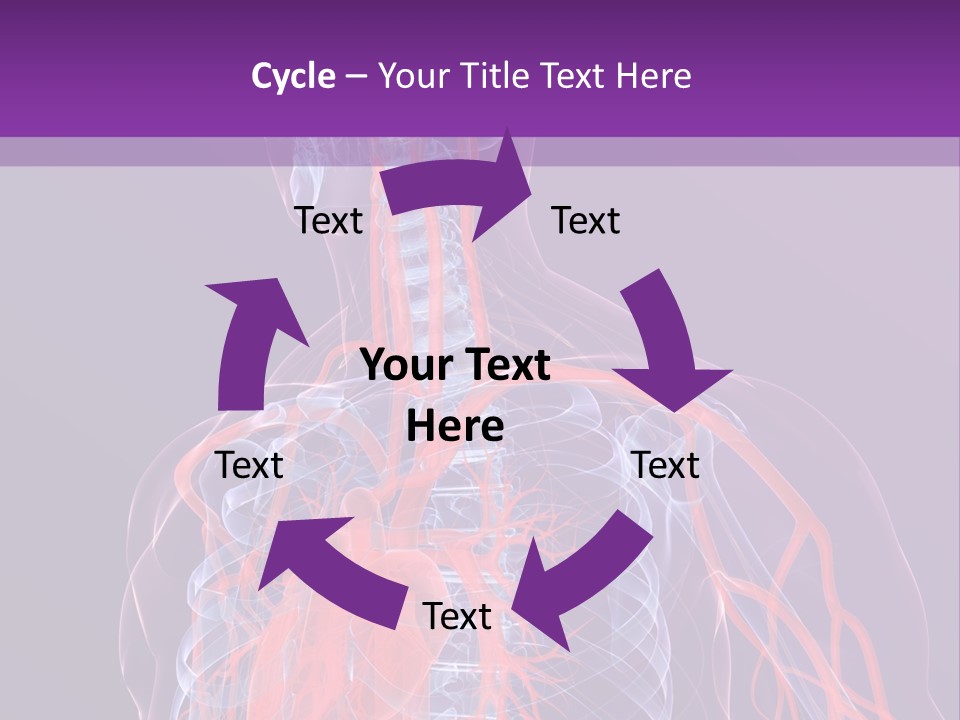 Anatomy Health Xray PowerPoint Template