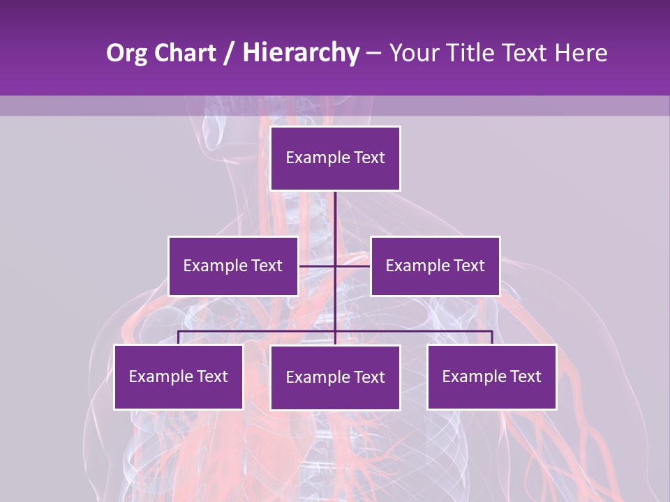Anatomy Health Xray PowerPoint Template