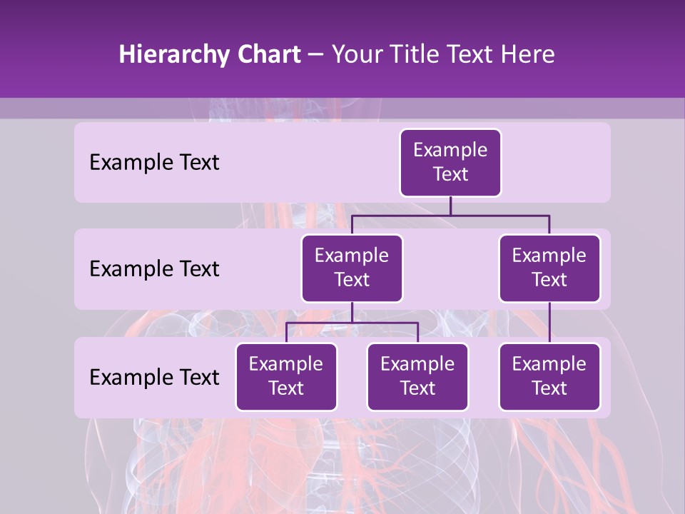 Anatomy Health Xray PowerPoint Template