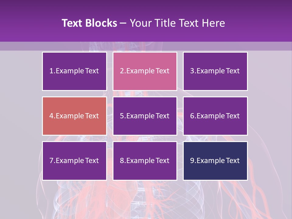 Anatomy Health Xray PowerPoint Template