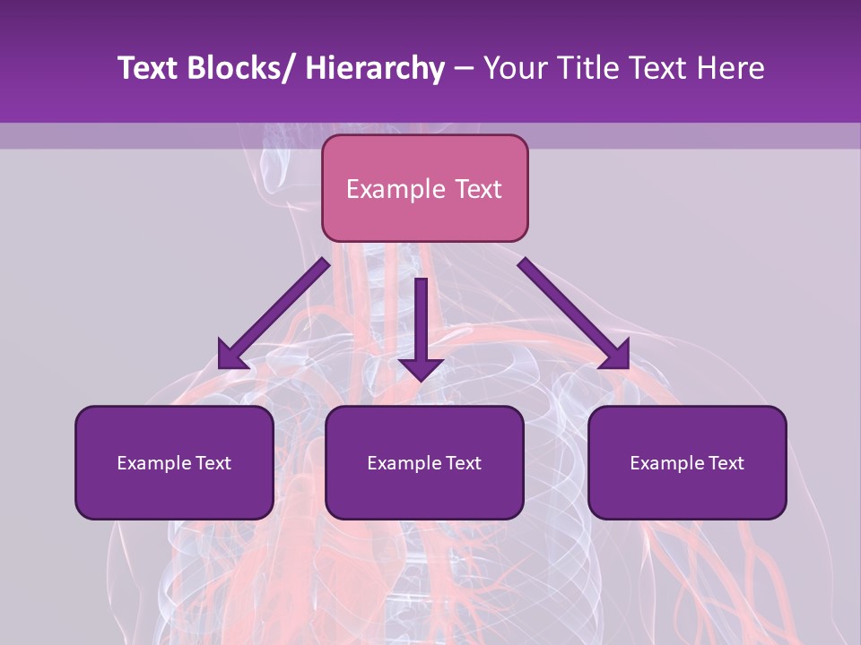 Anatomy Health Xray PowerPoint Template