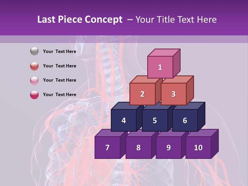 Anatomy Health Xray PowerPoint Template