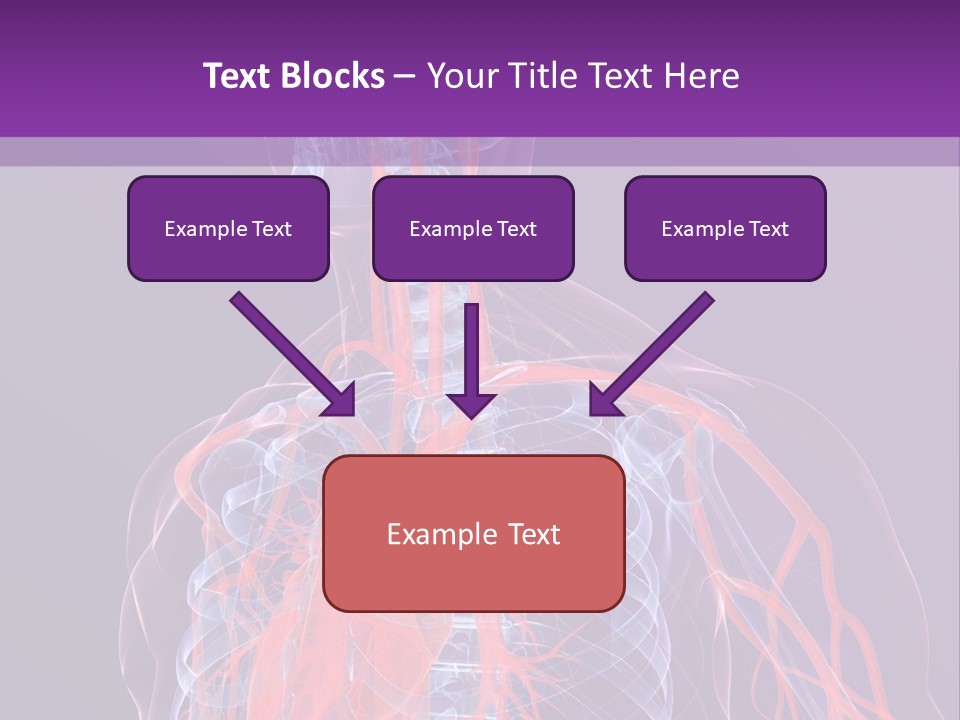 Anatomy Health Xray PowerPoint Template