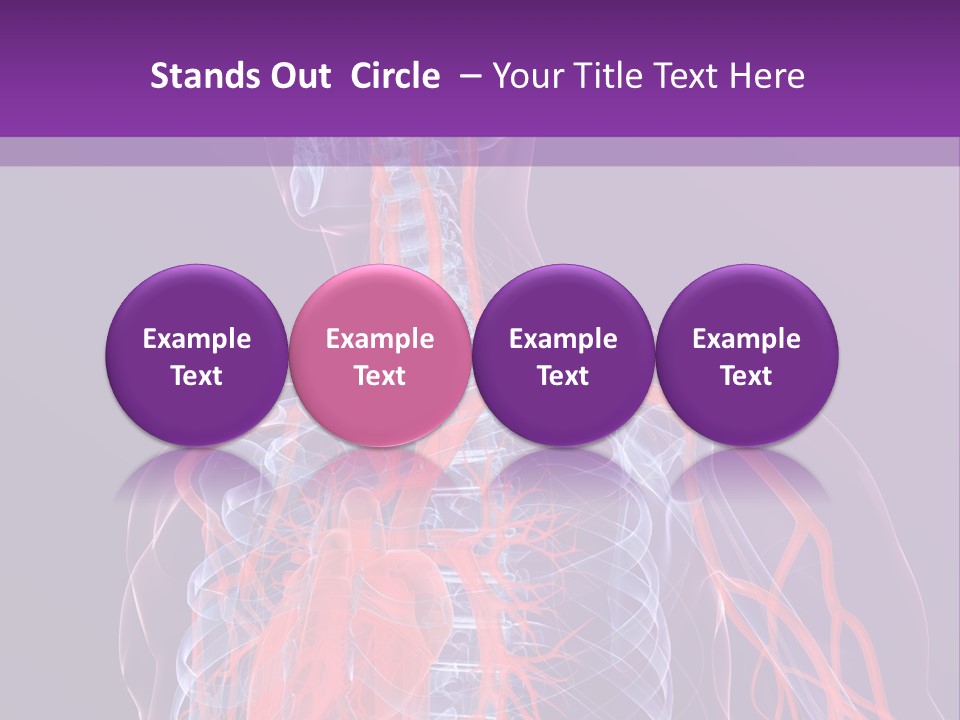 Anatomy Health Xray PowerPoint Template