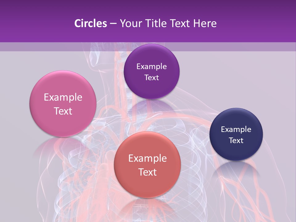 Anatomy Health Xray PowerPoint Template