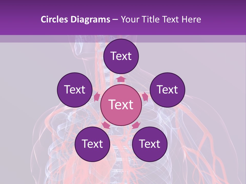 Anatomy Health Xray PowerPoint Template