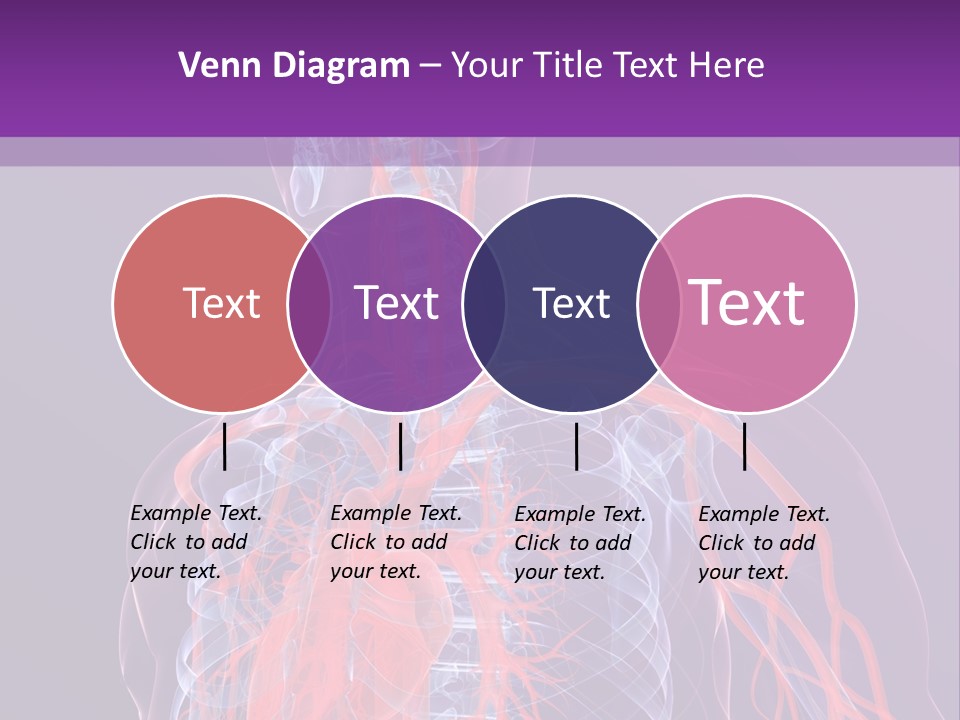 Anatomy Health Xray PowerPoint Template
