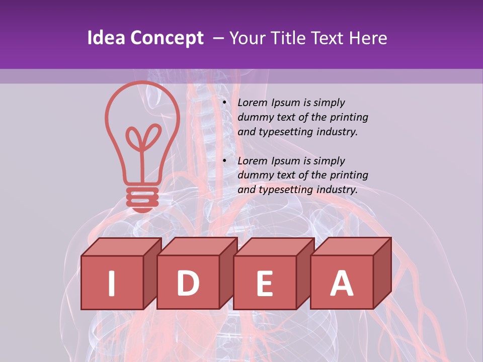 Anatomy Health Xray PowerPoint Template