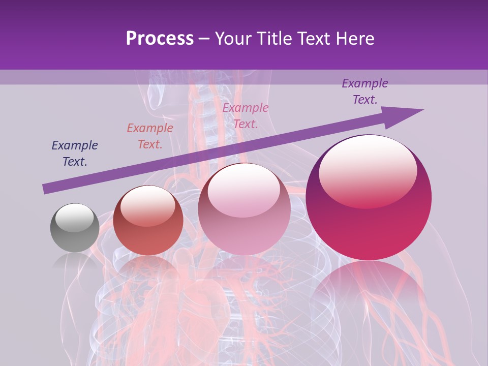 Anatomy Health Xray PowerPoint Template