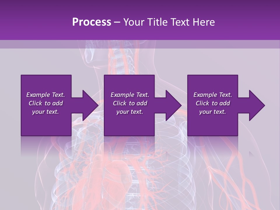 Anatomy Health Xray PowerPoint Template