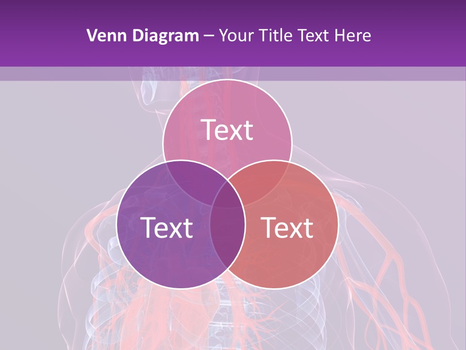 Anatomy Health Xray PowerPoint Template