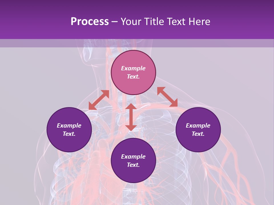 Anatomy Health Xray PowerPoint Template