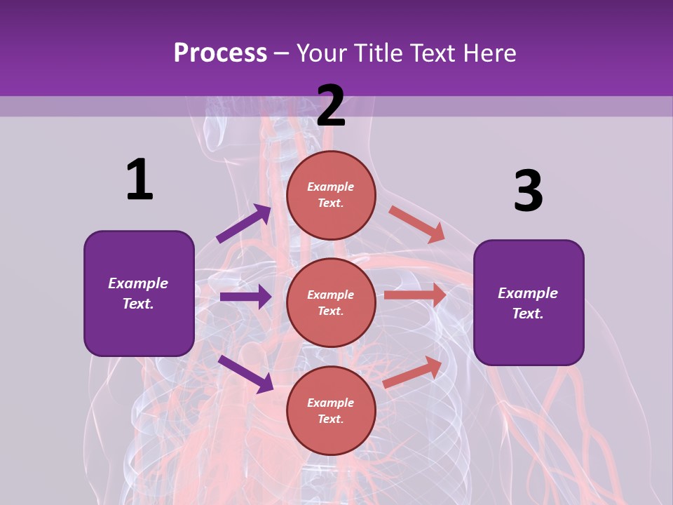 Anatomy Health Xray PowerPoint Template