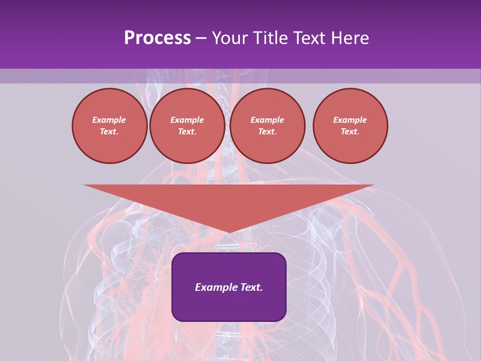 Anatomy Health Xray PowerPoint Template