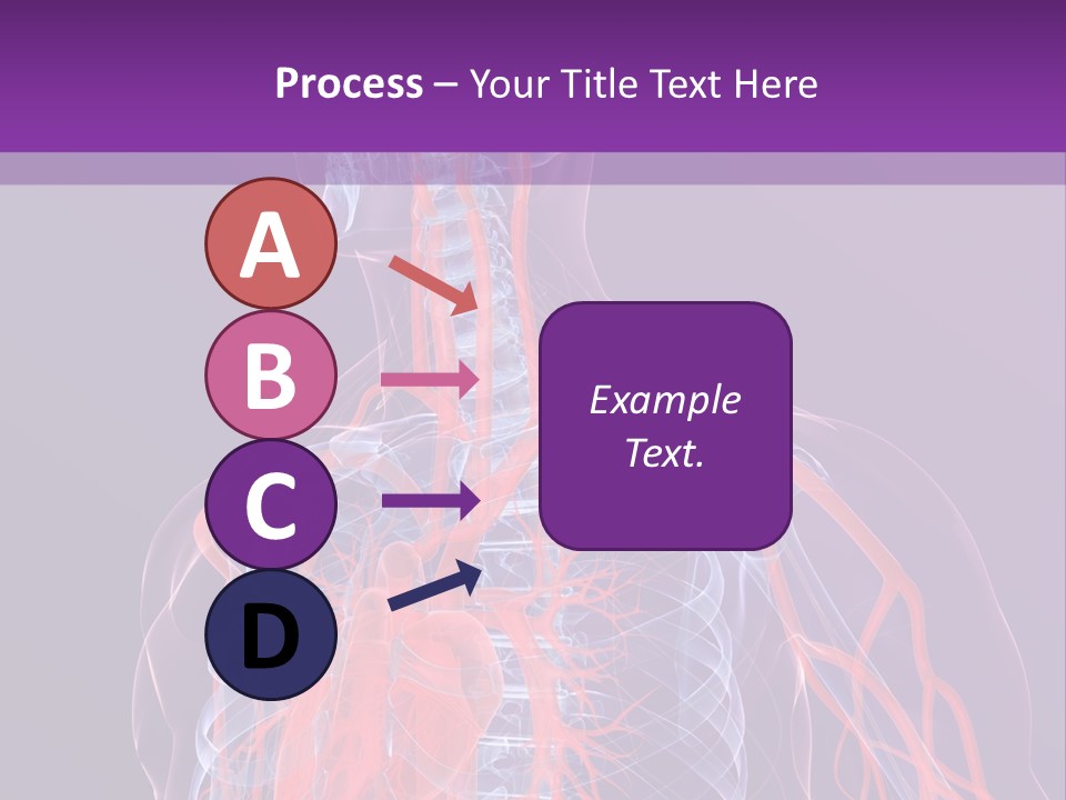 Anatomy Health Xray PowerPoint Template