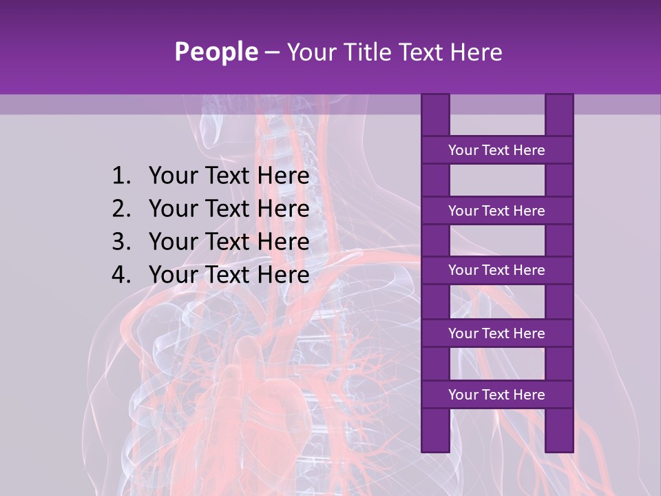 Anatomy Health Xray PowerPoint Template