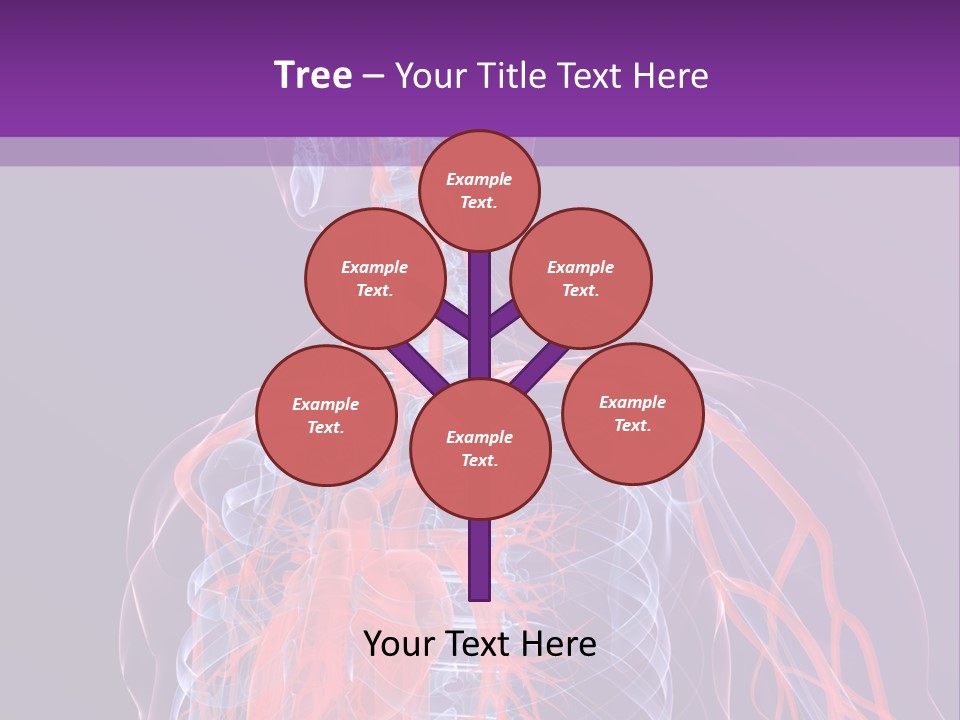 Anatomy Health Xray PowerPoint Template
