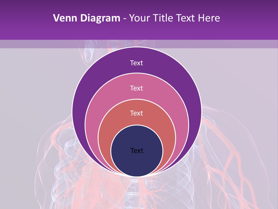 Anatomy Health Xray PowerPoint Template