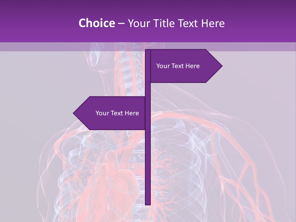 Anatomy Health Xray PowerPoint Template