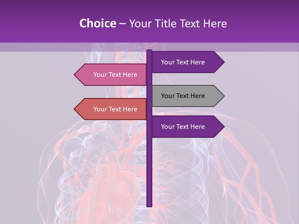 Anatomy Health Xray PowerPoint Template