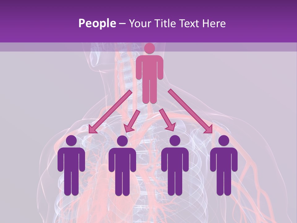 Anatomy Health Xray PowerPoint Template