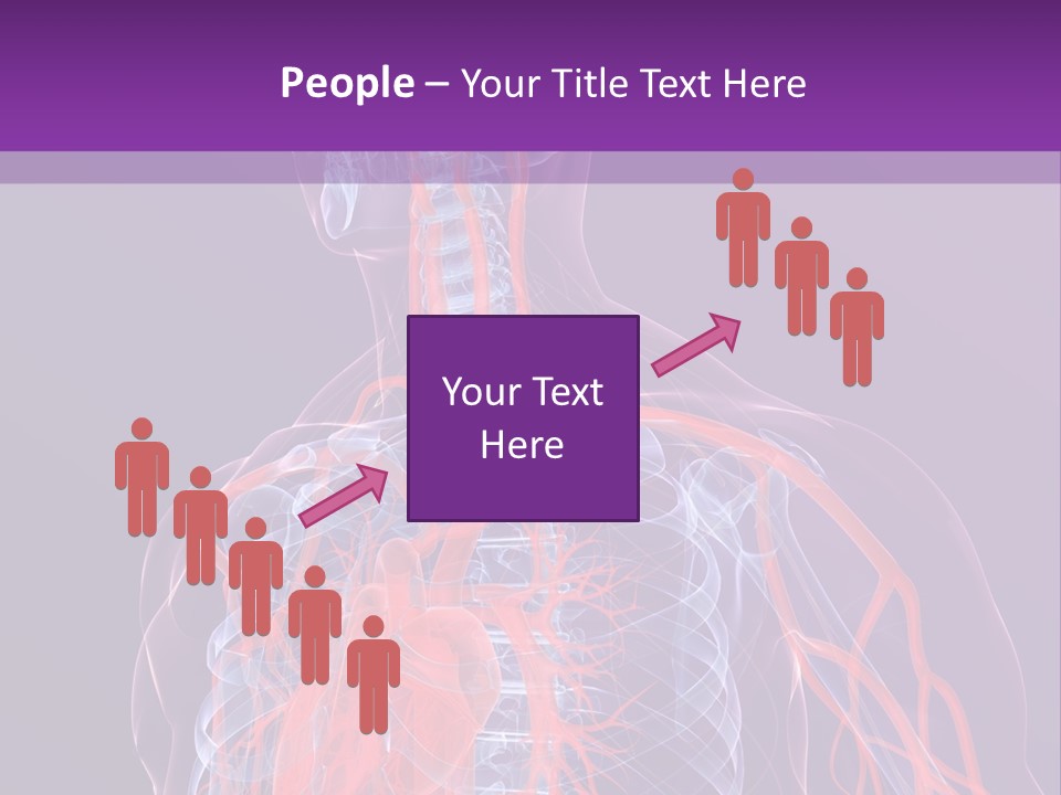 Anatomy Health Xray PowerPoint Template