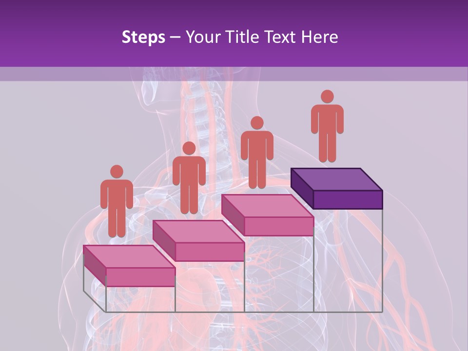 Anatomy Health Xray PowerPoint Template