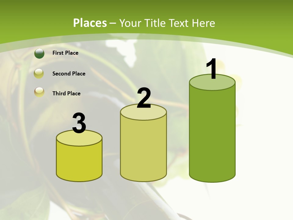 Spiral Grow Winery PowerPoint Template