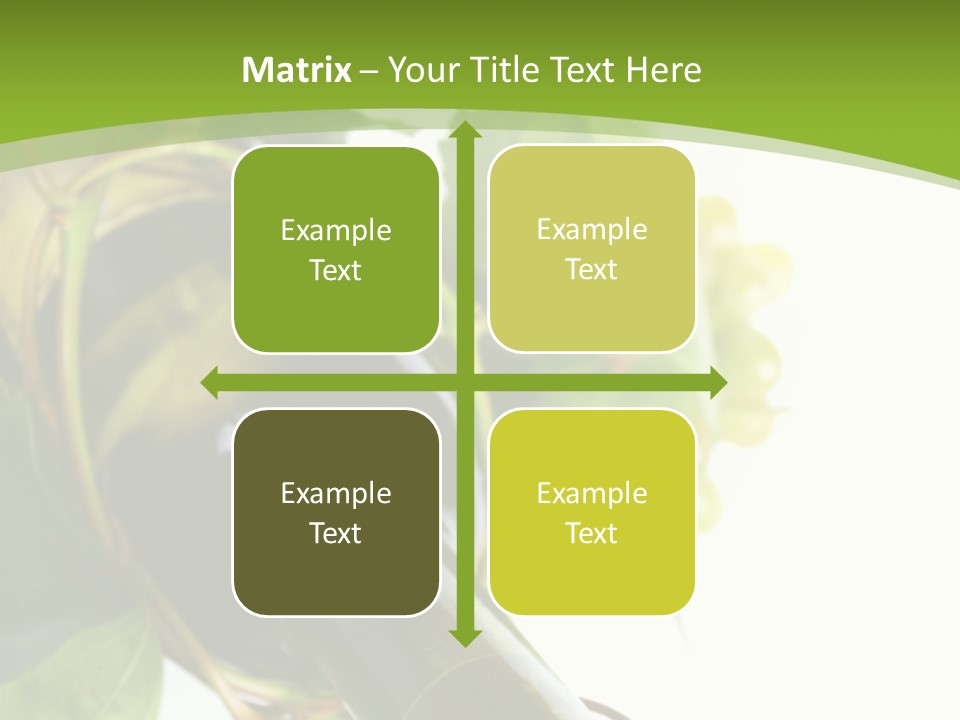 Spiral Grow Winery PowerPoint Template