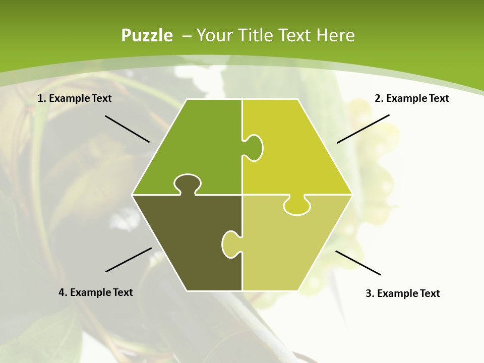 Spiral Grow Winery PowerPoint Template