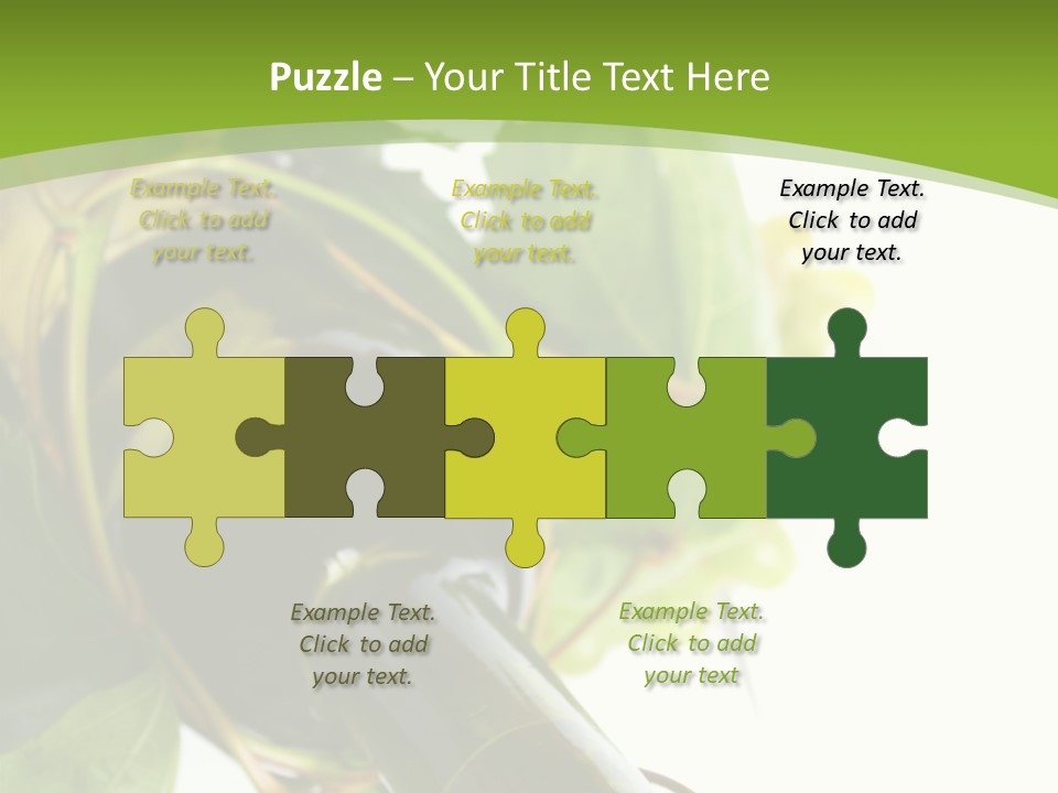 Spiral Grow Winery PowerPoint Template