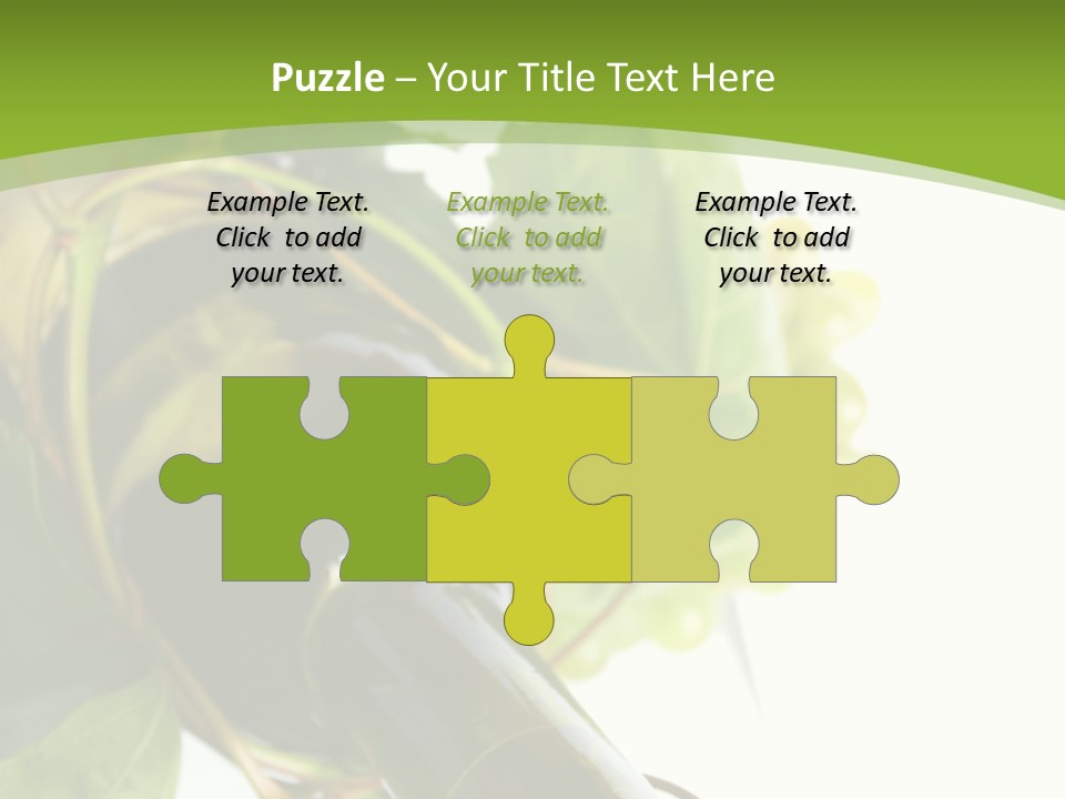 Spiral Grow Winery PowerPoint Template