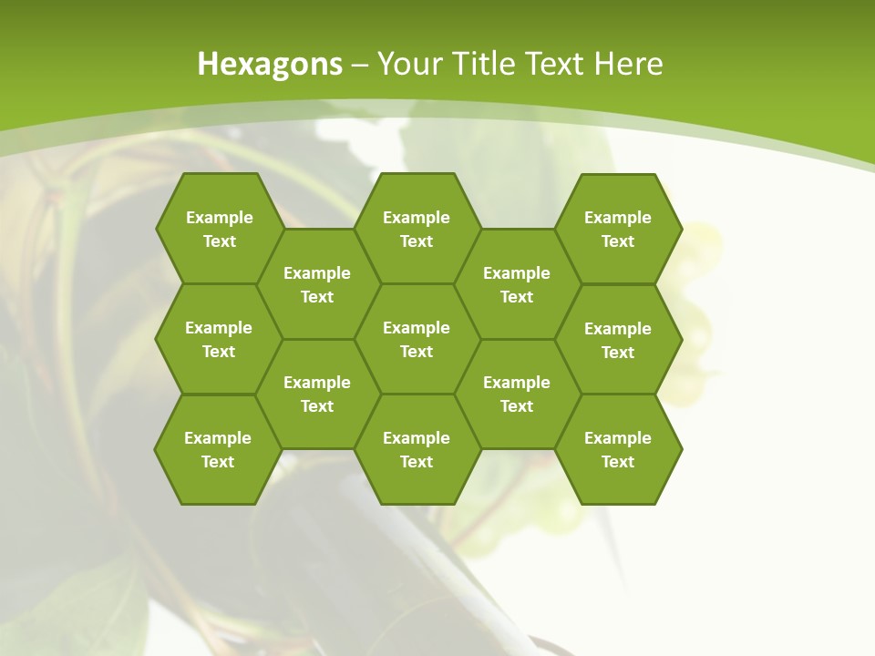 Spiral Grow Winery PowerPoint Template