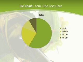 Spiral Grow Winery PowerPoint Template