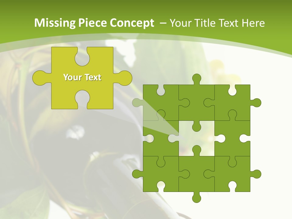 Spiral Grow Winery PowerPoint Template