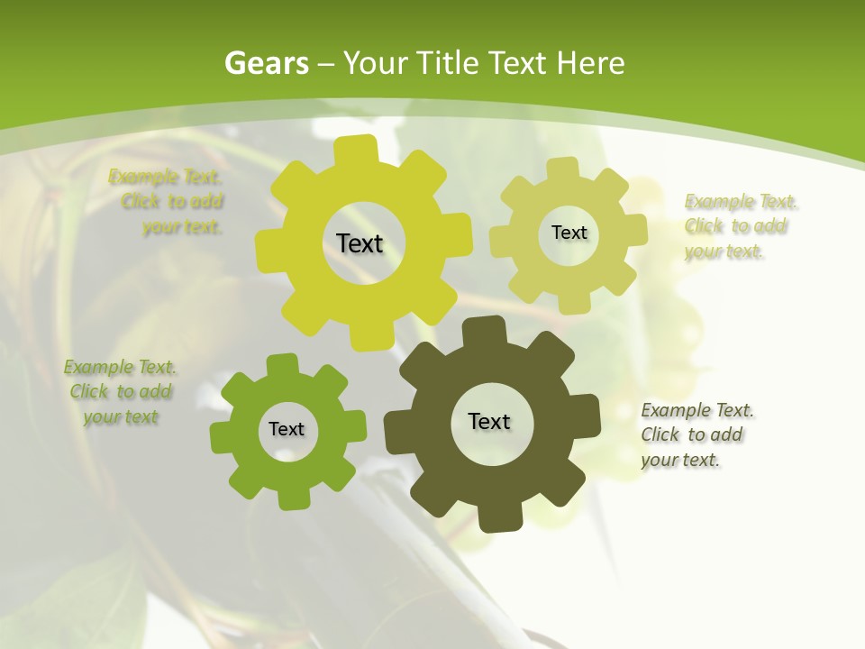 Spiral Grow Winery PowerPoint Template