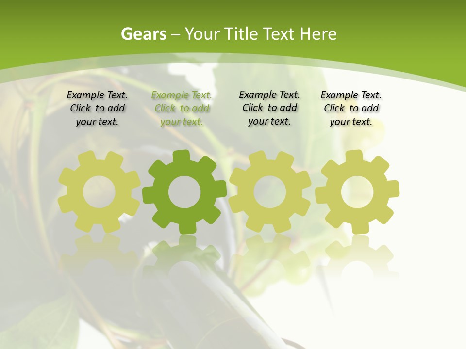 Spiral Grow Winery PowerPoint Template