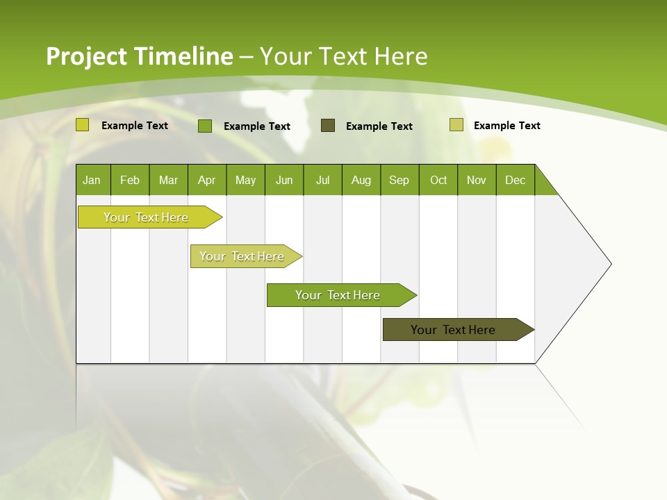 Spiral Grow Winery PowerPoint Template