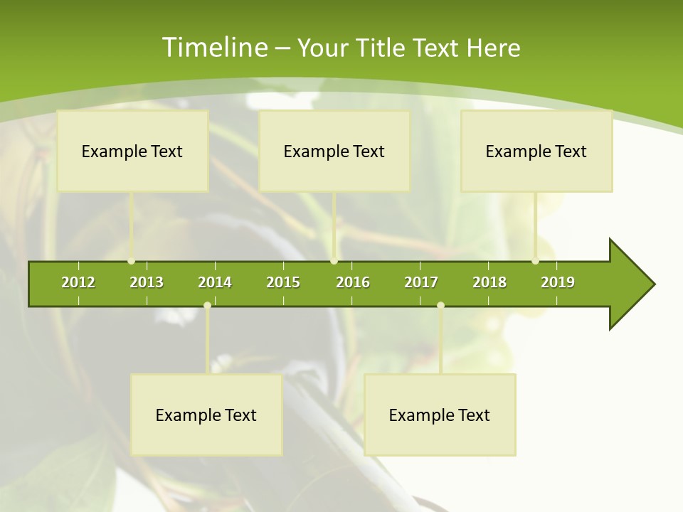 Spiral Grow Winery PowerPoint Template
