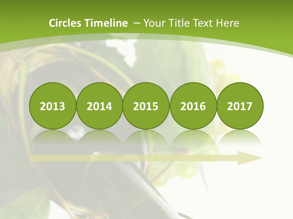 Spiral Grow Winery PowerPoint Template