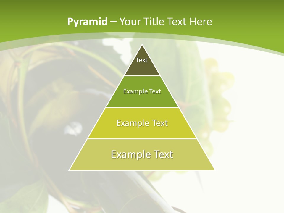 Spiral Grow Winery PowerPoint Template