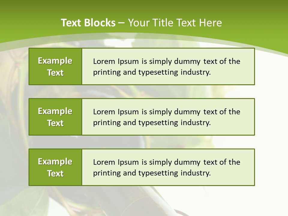 Spiral Grow Winery PowerPoint Template