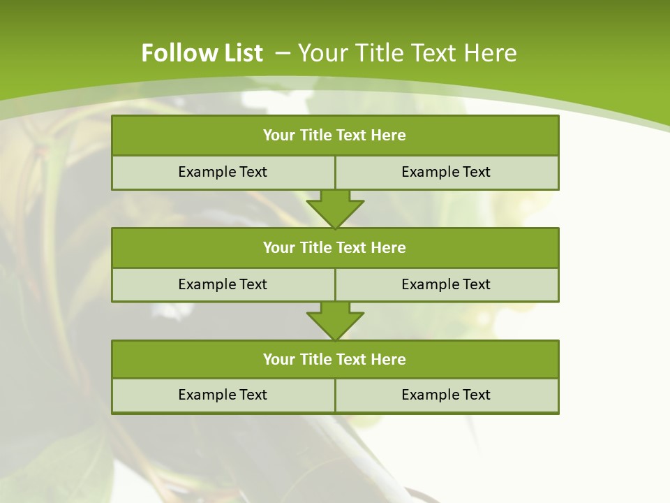 Spiral Grow Winery PowerPoint Template